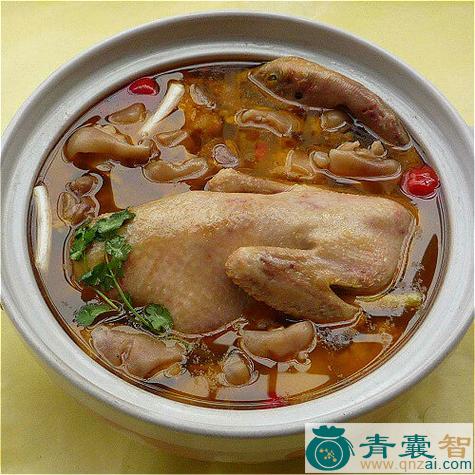 中药材鸭子图片