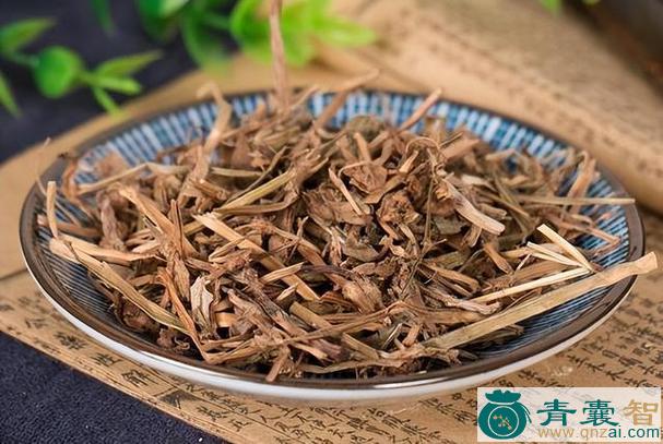中药材鸭屎草图片