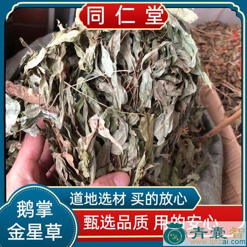 中药材鸭掌香图片