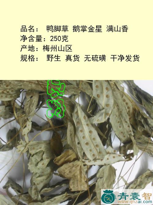 中药材鸭爪风图片