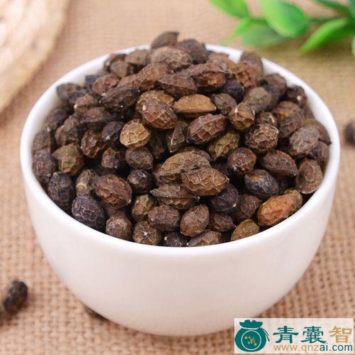 鸭胆子的性状性味归经以及功效用法和注意事项-青囊智