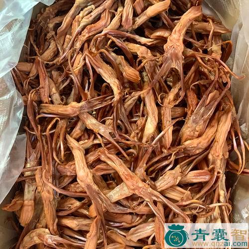 鸭舌子的性味归经以及功效用法-青囊智