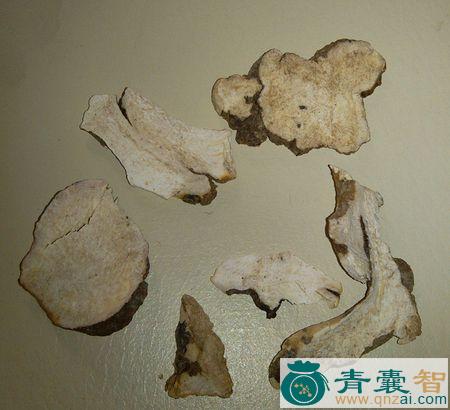 中药材鸱旧图片