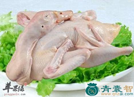 中药材鸿雁肉图片