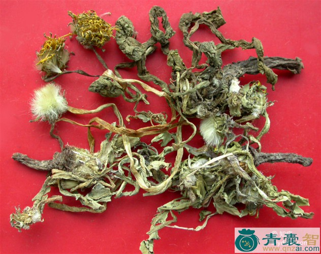 中药材鹁鸪梢图片