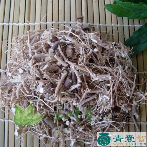 鹅嘴花根的性味归经以及功效用法-青囊智