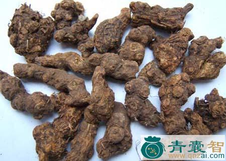 中药材鹅掌风图片