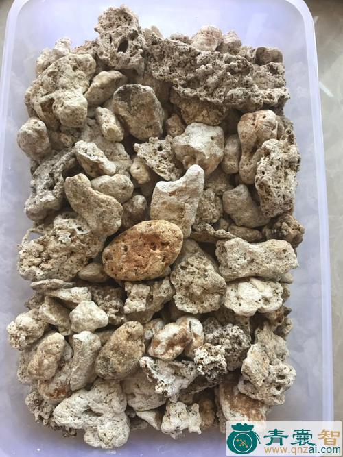 中药材鹅涎图片