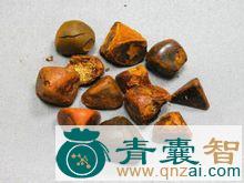 中药材鹅胆图片