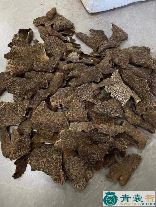 鹧鸪脂的性味归经以及功效用法-青囊智
