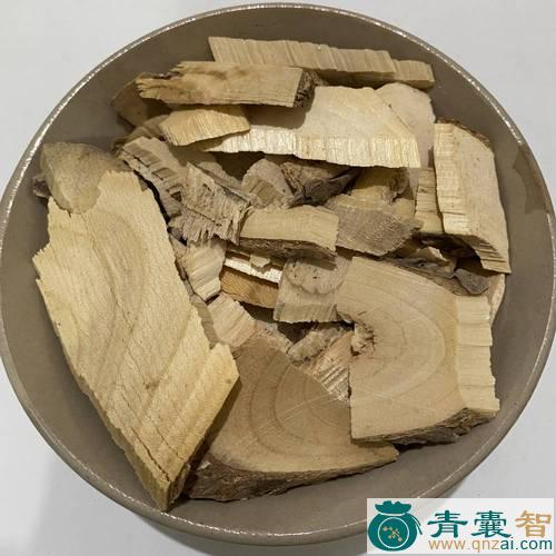 鹰不拍的性味归经以及功效用法和注意事项-青囊智