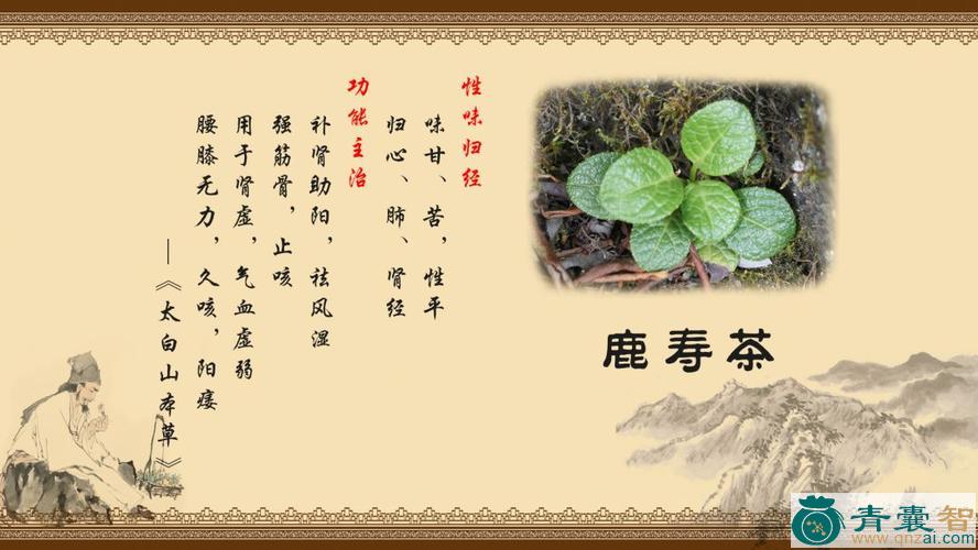 中药材鹿寿茶图片
