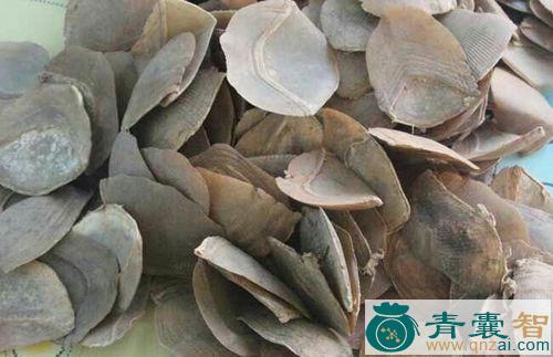中药材麒鳞片图片