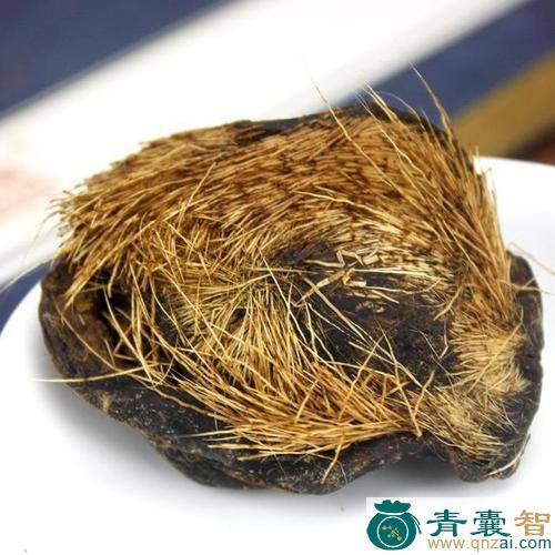 中药材麝肉图片