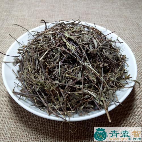 中药材麝香草图片