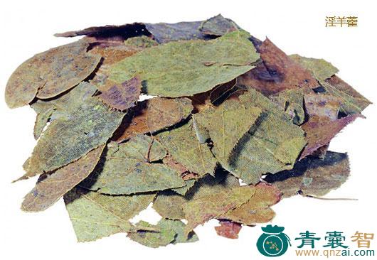 中药材麟片图片