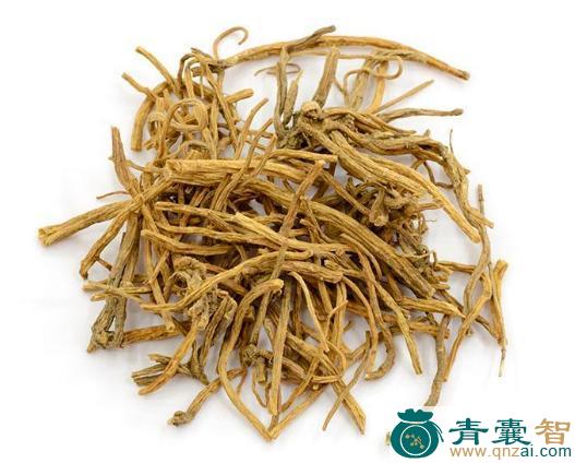 中药材麻叶棣棠图片