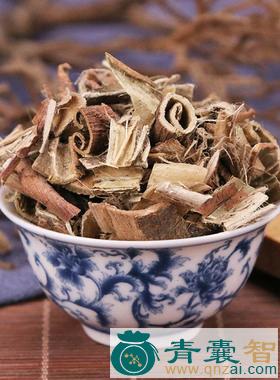 麻失的性状性味归经以及功效用法和注意事项-青囊智