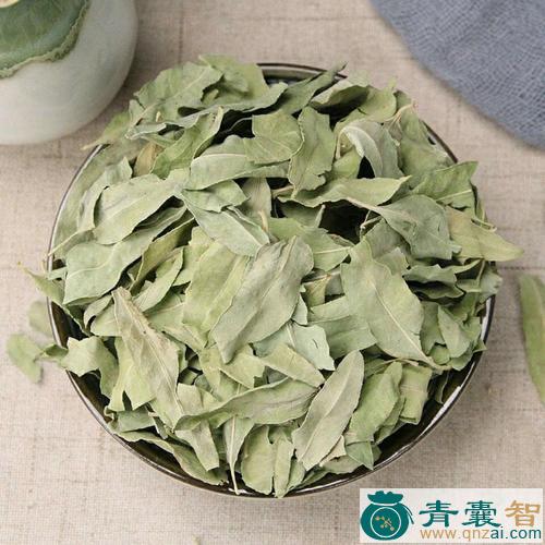 中药材麻布草图片