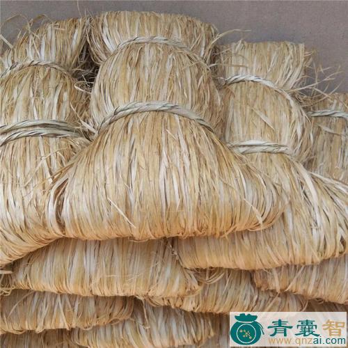 中药材麻棱丝图片