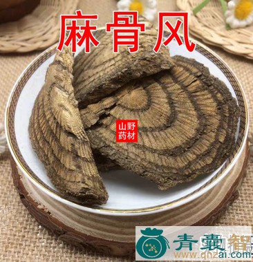 中药材麻疯龙图片