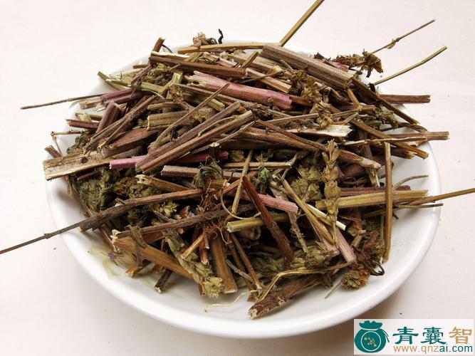 中药材麻荆芥图片