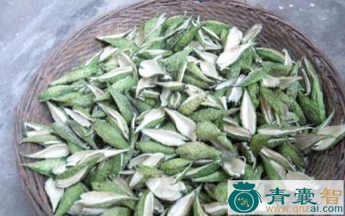 麻雀棺材的性状性味归经以及功效用法-青囊智