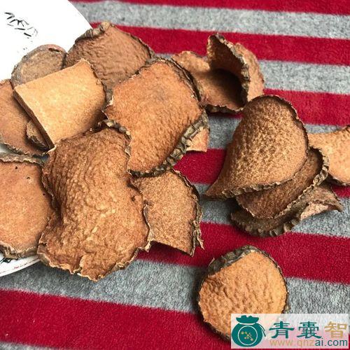 黄仔蔃的性状性味归经以及功效用法和注意事项-青囊智