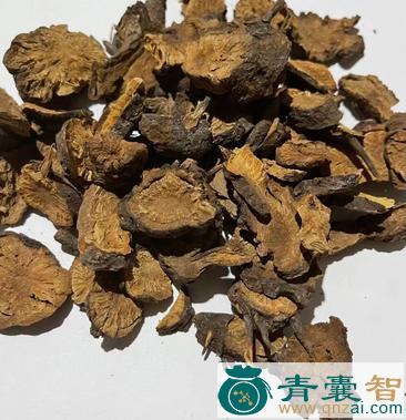 中药材黄地榆图片