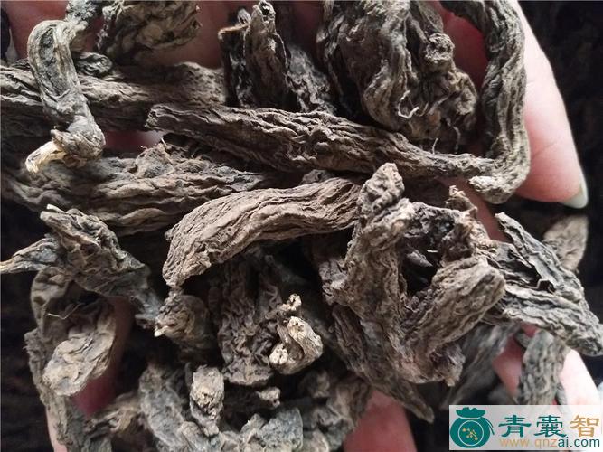 中药材黄大戟图片