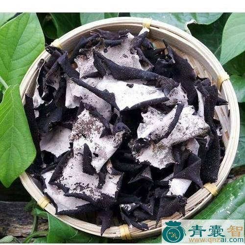 中药材黄底石耳图片