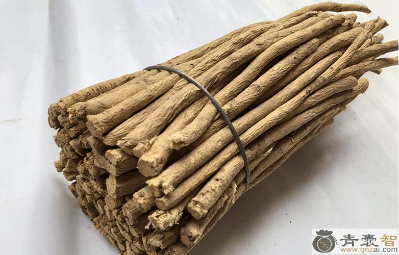 黄条子的性味归经以及功效用法-青囊智