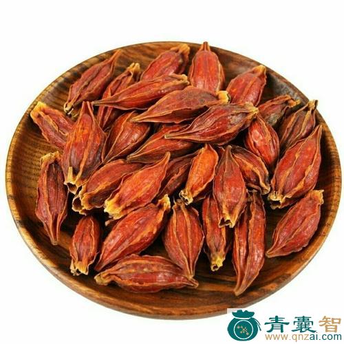 中药材黄栀子图片