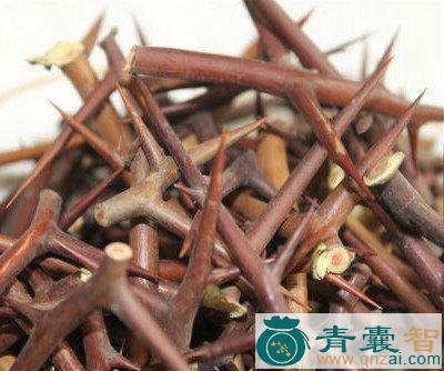 中药材黄牛刺图片