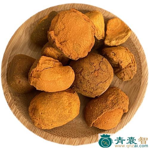 黄牛胆的性味归经以及功效用法和注意事项-青囊智