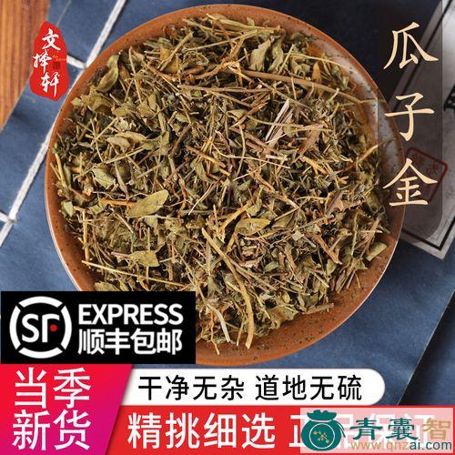 中药材黄瓜仁草图片
