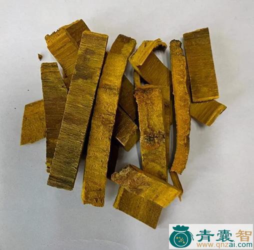 中药材黄皮皮图片