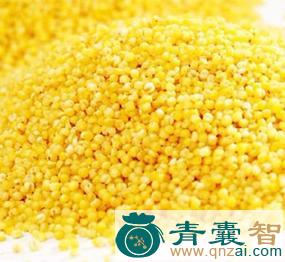 中药材黄粱米图片