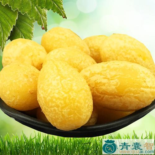 中药材黄胆榄图片