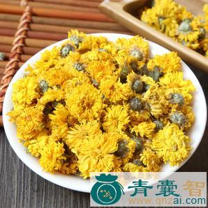 中药材黄花冬菊图片