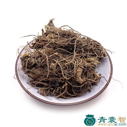 中药材黄花地胆头图片