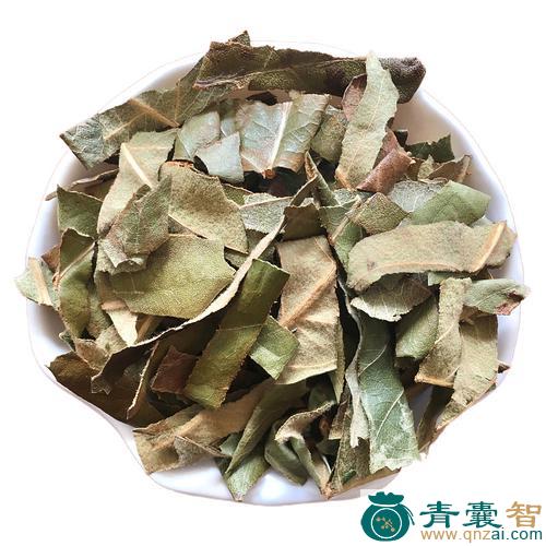 中药材黄花枇杷叶图片