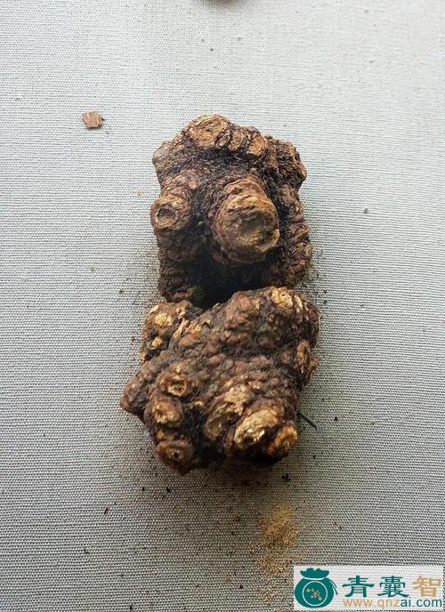 中药材黄花果图片
