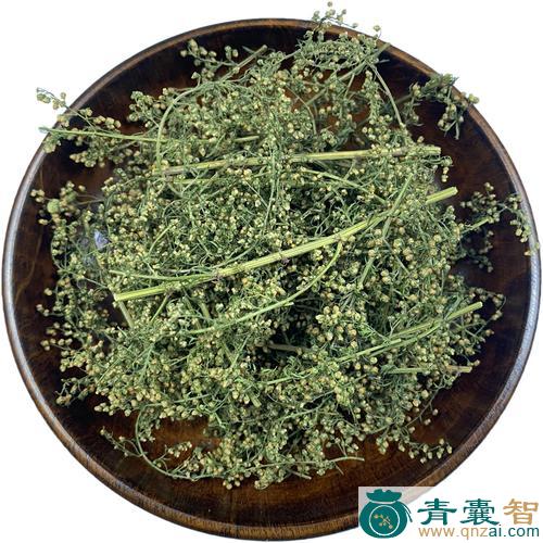 中药材黄花蒿子图片