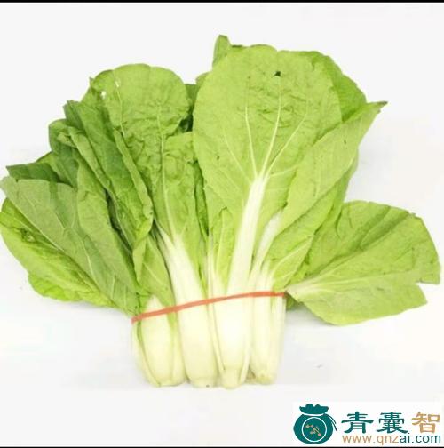 中药材黄芽菜图片
