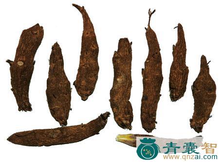 中药材黄草乌图片