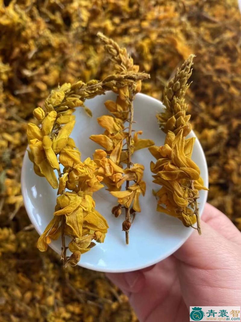 中药材黄莲花图片