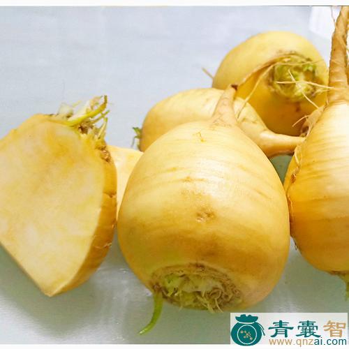 中药材黄蔓菁图片