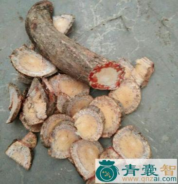 中药材黄袍小血藤图片