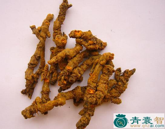 中药材黄裢头图片